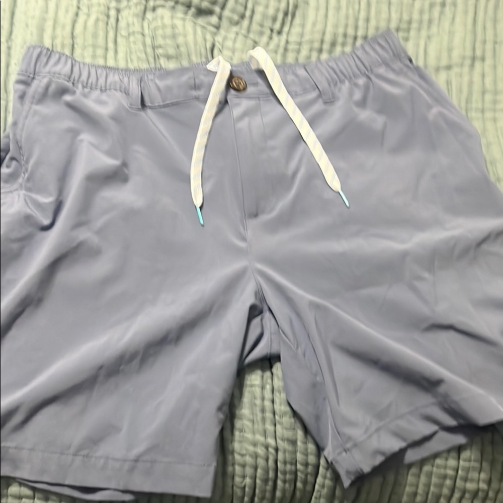Chubbies Shorts